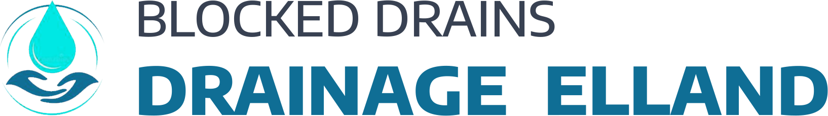 website logo